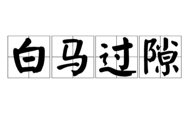 格斗狂人徐晓东最新消息